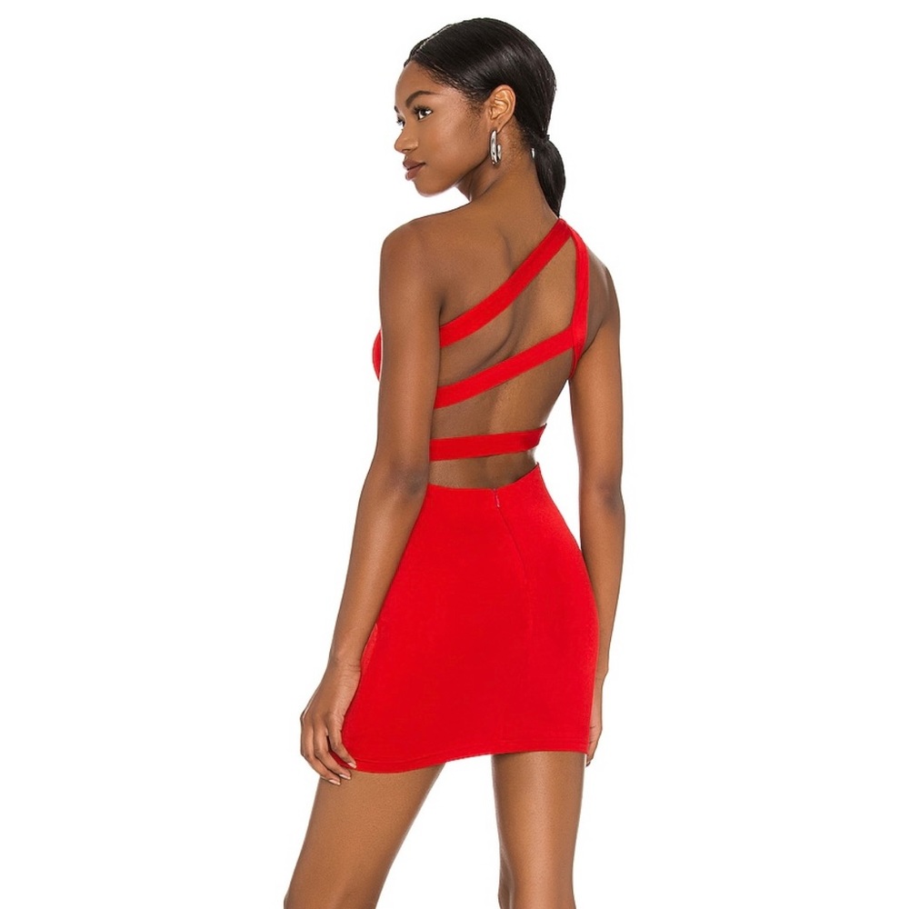 Revolve mini dress